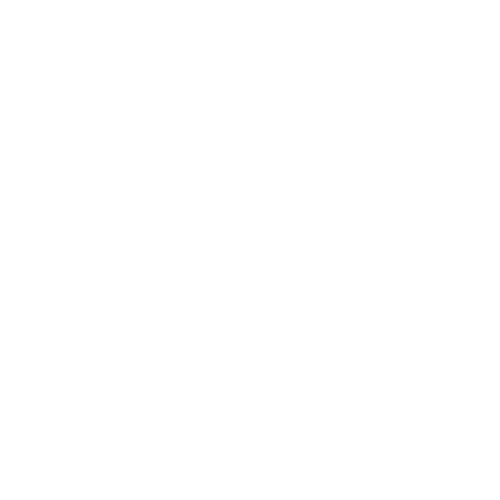 Icône pièce illustrant le prix compétitif des vidéos UGC AleaDreams dès 39 euros